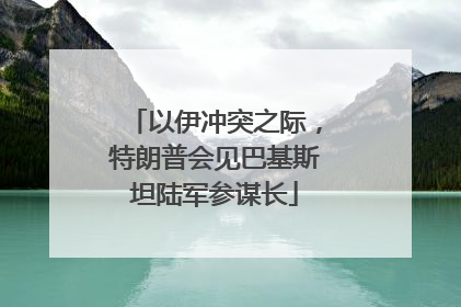 以伊冲突之际，特朗普会见巴基斯坦陆军参谋长