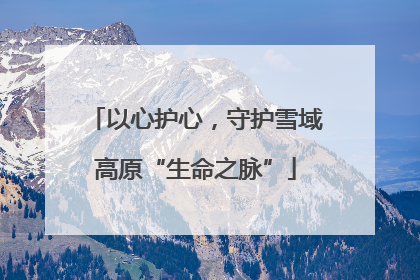 以心护心，守护雪域高原“生命之脉”