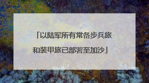 以陆军所有常备步兵旅和装甲旅已部署至加沙