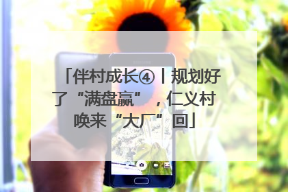 伴村成长④丨规划好了“满盘赢”，仁义村唤来“大厂”回