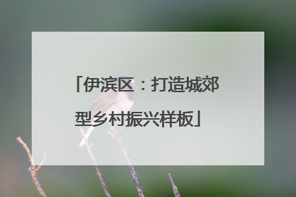 伊滨区：打造城郊型乡村振兴样板