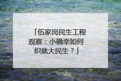 伍家岗民生工程观察：小确幸如何织就大民生？