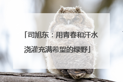 司旭东：用青春和汗水浇灌充满希望的绿野