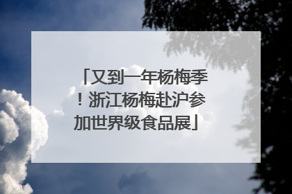又到一年杨梅季！浙江杨梅赴沪参加世界级食品展