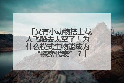 又有小动物搭上载人飞船去太空了！为什么模式生物能成为“探索代表”？
