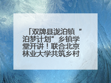 双牌县泷泊镇“泊梦计划”乡镇学堂开讲！联合北京林业大学共筑乡村教育新未来