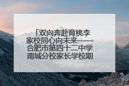 双向奔赴育桃李 家校同心向未来——合肥市第四十二中学南城分校家长学校期末总结会圆满召开