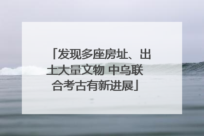 发现多座房址、出土大量文物 中乌联合考古有新进展