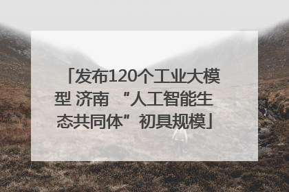 发布120个工业大模型 济南 “人工智能生态共同体”初具规模