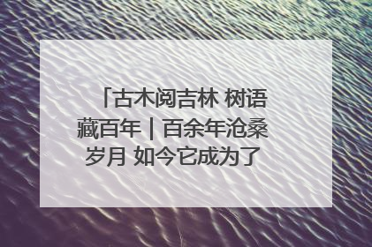 古木阅吉林 树语藏百年｜百余年沧桑岁月 如今它成为了“镇园之宝”