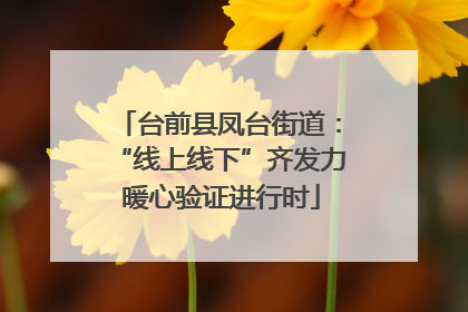 台前县凤台街道：“线上线下”齐发力 暖心验证进行时
