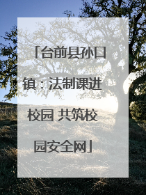 台前县孙口镇：法制课进校园 共筑校园安全网