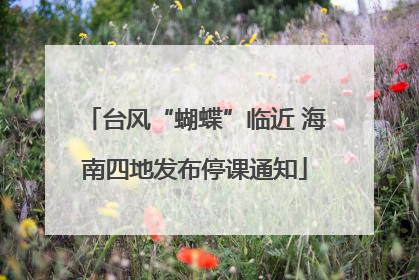 台风“蝴蝶”临近 海南四地发布停课通知