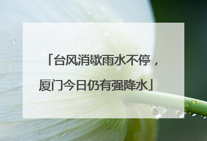 台风消歇雨水不停，厦门今日仍有强降水