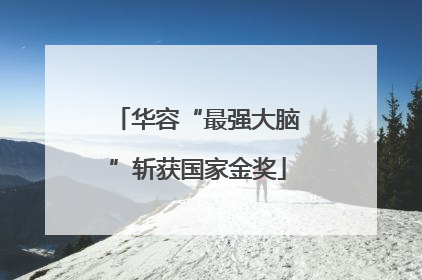 华容“最强大脑”斩获国家金奖