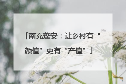 南充蓬安：让乡村有“颜值”更有“产值”