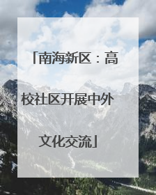 南海新区：高校社区开展中外文化交流
