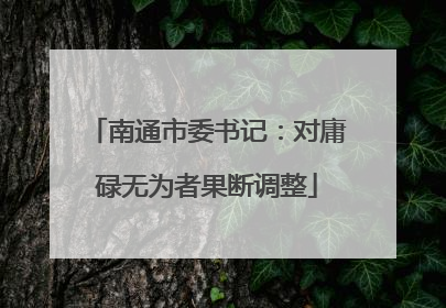 南通市委书记：对庸碌无为者果断调整
