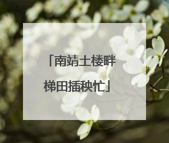 南靖土楼畔 梯田插秧忙