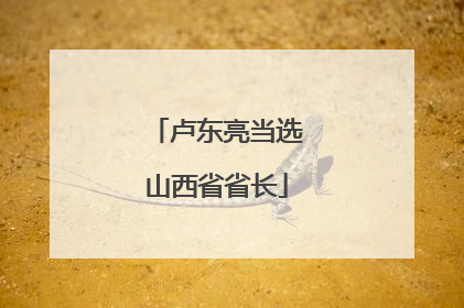 卢东亮当选山西省省长
