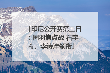 印尼公开赛第三日：国羽焦点战 石宇奇、李诗沣领衔