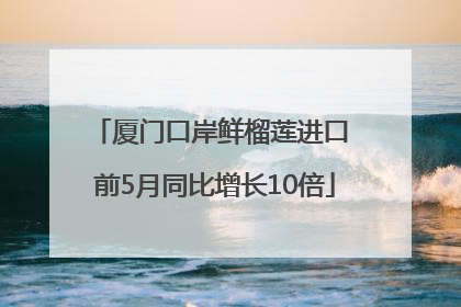 厦门口岸鲜榴莲进口 前5月同比增长10倍