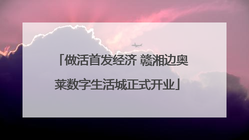 做活首发经济 赣湘边奥莱数字生活城正式开业