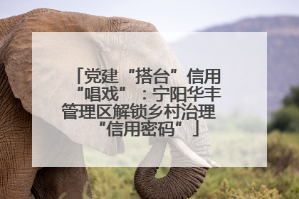 党建“搭台”信用“唱戏”：宁阳华丰管理区解锁乡村治理“信用密码”