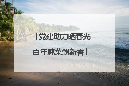 党建助力晒春光 百年腌菜飘新香