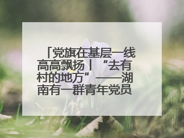 党旗在基层一线高高飘扬丨“去有村的地方”——湖南有一群青年党员这样选择
