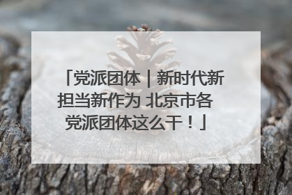 党派团体｜新时代新担当新作为 北京市各党派团体这么干！