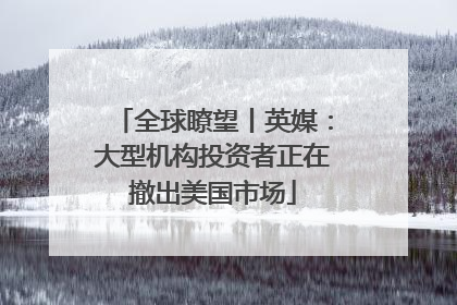 全球瞭望丨英媒：大型机构投资者正在撤出美国市场