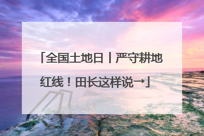 全国土地日丨严守耕地红线！田长这样说→