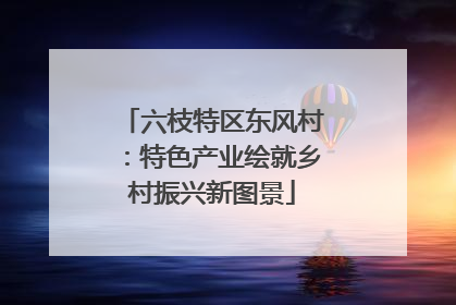 六枝特区东风村：特色产业绘就乡村振兴新图景