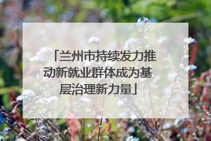 兰州市持续发力推动新就业群体成为基层治理新力量