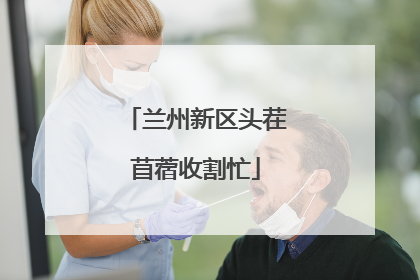 兰州新区头茬苜蓿收割忙
