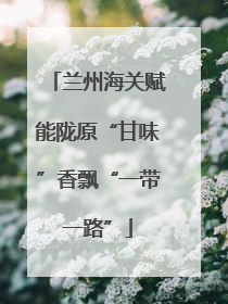 兰州海关赋能陇原“甘味”香飘“一带一路”