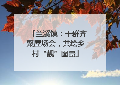 兰溪镇：干群齐聚屋场会，共绘乡村“靓”图景