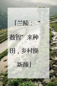 兰陵：“数智”来种田，乡村换新颜