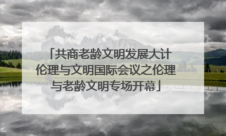 共商老龄文明发展大计 伦理与文明国际会议之伦理与老龄文明专场开幕