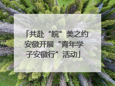 共赴“皖”美之约 安徽开展“青年学子安徽行”活动