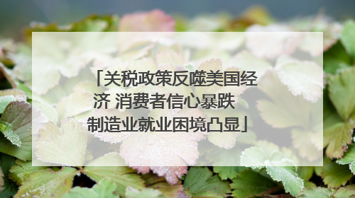 关税政策反噬美国经济 消费者信心暴跌 制造业就业困境凸显