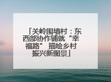 关岭围墙村：东西部协作铺就“幸福路” 描绘乡村振兴新图景