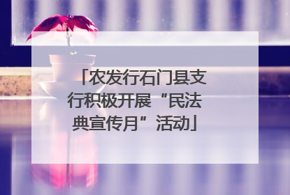 农发行石门县支行积极开展“民法典宣传月”活动