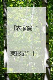 农家院“变形记”
