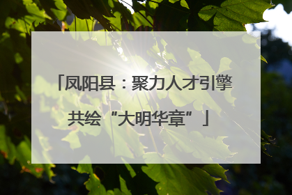 凤阳县：聚力人才引擎 共绘“大明华章”
