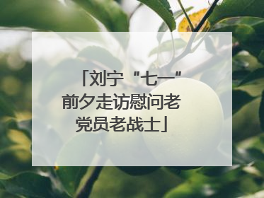刘宁“七一”前夕走访慰问老党员老战士