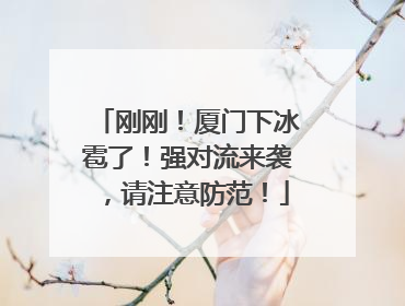 刚刚！厦门下冰雹了！强对流来袭，请注意防范！