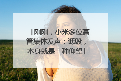 刚刚，小米多位高管集体发声：诋毁，本身就是一种仰望