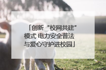 创新“校网共建”模式 电力安全普法与爱心守护进校园